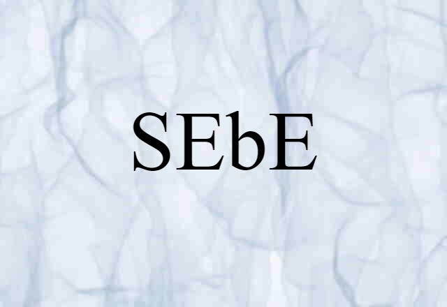 SEbE