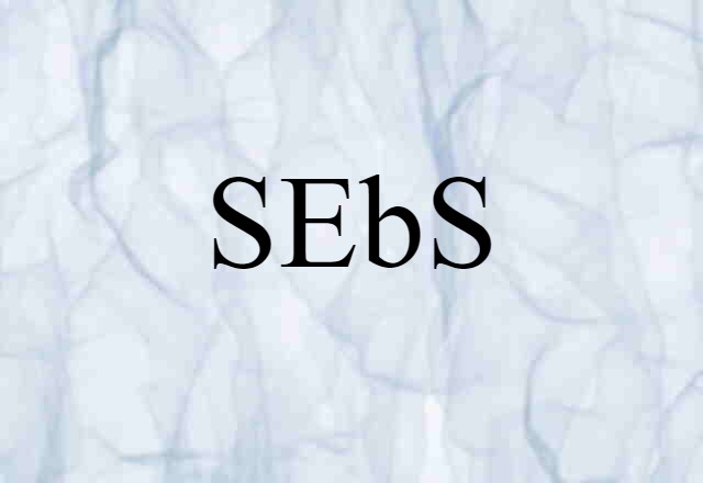 SEbS (noun) Definition, Meaning & Examples