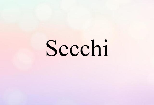 Secchi (noun) Definition, Meaning & Examples