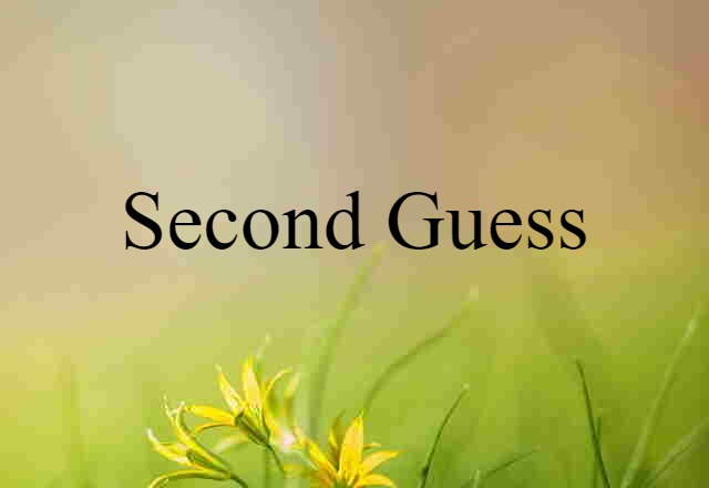 second-guess