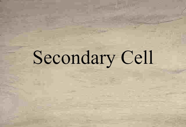 secondary cell