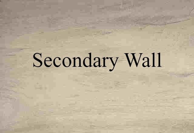 secondary wall