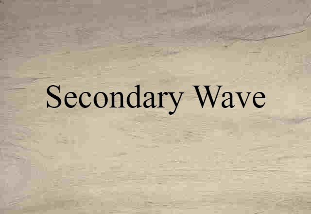 Secondary Wave (noun) Definition, Meaning & Examples