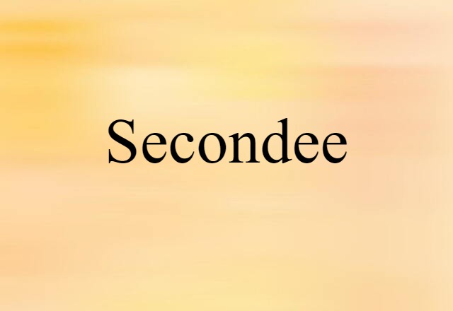 Secondee (noun) Definition, Meaning & Examples