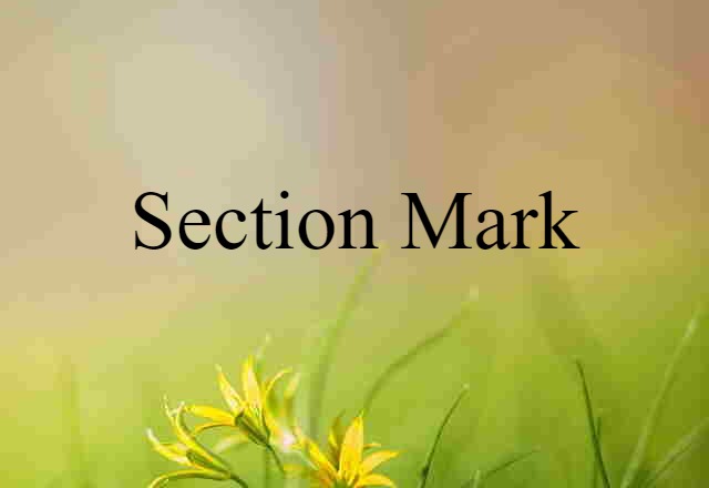 Section Mark (noun) Definition, Meaning & Examples