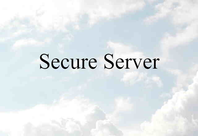 Secure Server (noun) Definition, Meaning & Examples