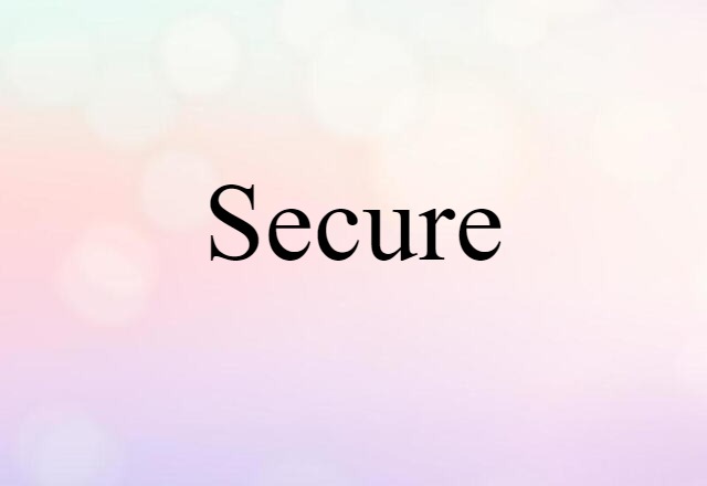 Secure (noun) Definition, Meaning & Examples