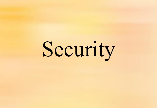 Security (noun) Definition, Meaning & Examples