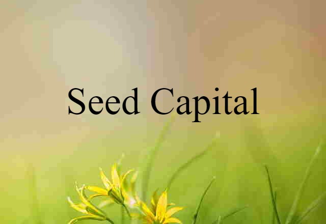 seed capital