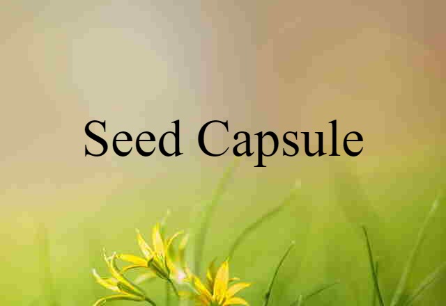 seed capsule