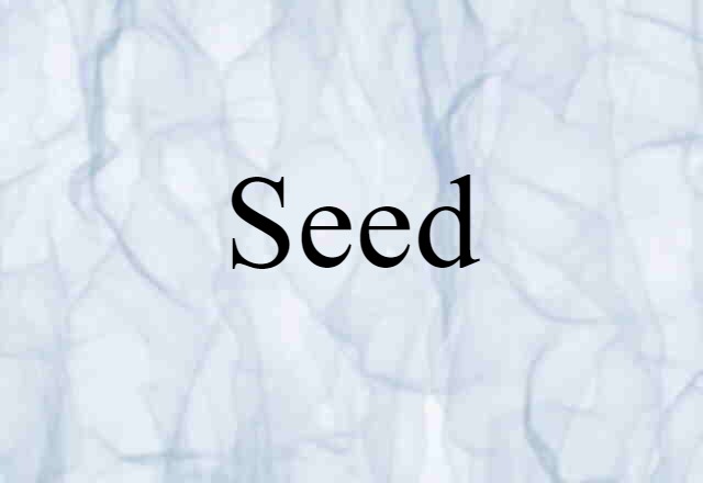 Seed (noun) Definition, Meaning & Examples