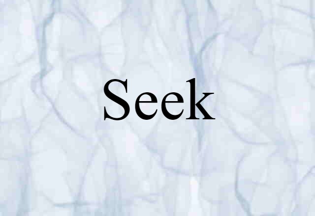 Seek (noun) Definition, Meaning & Examples