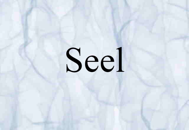 Seel (noun) Definition, Meaning & Examples