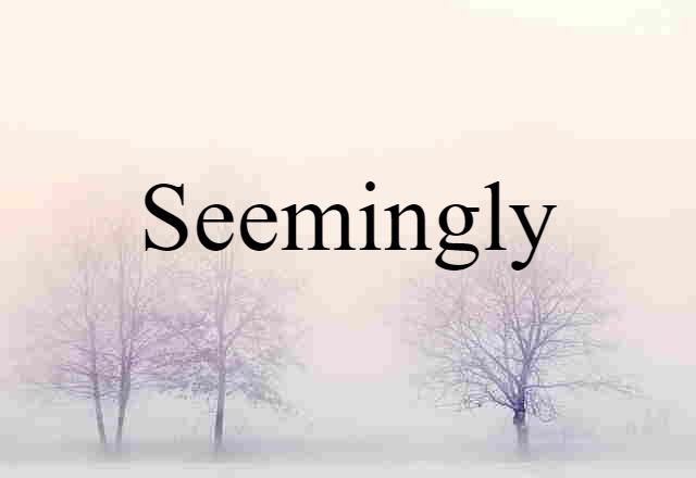 Seemingly (noun) Definition, Meaning & Examples