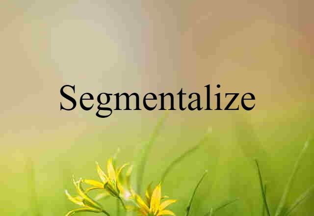 Segmentalize (noun) Definition, Meaning & Examples