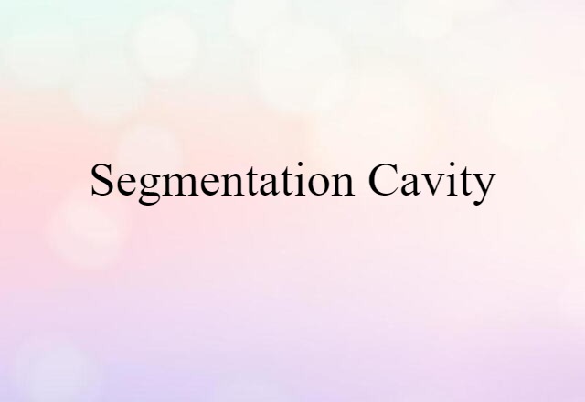 Segmentation Cavity (noun) Definition, Meaning & Examples