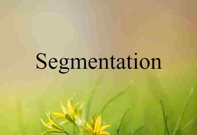 segmentation