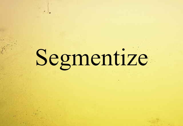 Segmentize (noun) Definition, Meaning & Examples