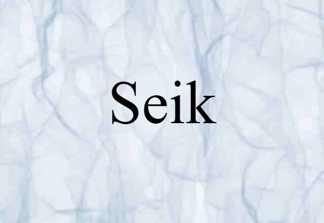 Seik (noun) Definition, Meaning & Examples