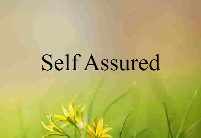 self-assured