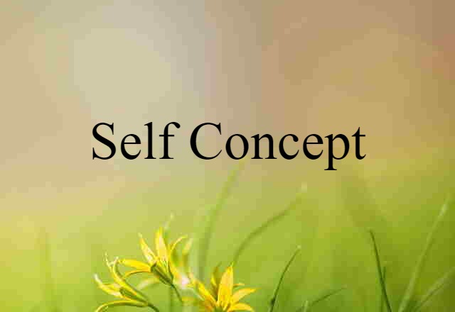 Self-concept (noun) Definition, Meaning & Examples