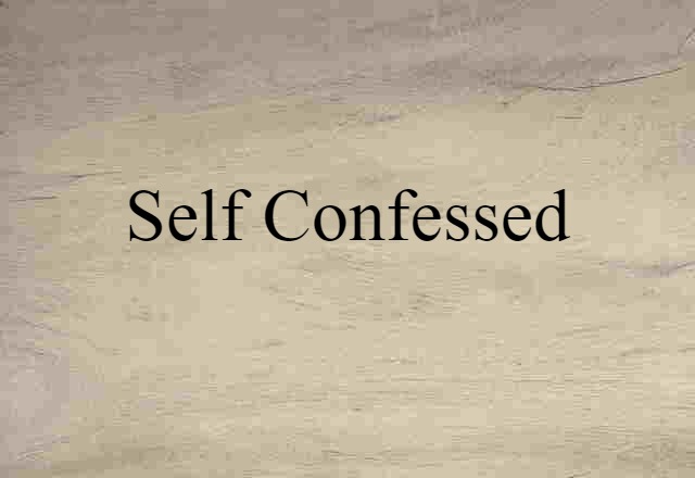 Self-confessed (noun) Definition, Meaning & Examples