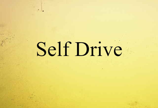 self-drive