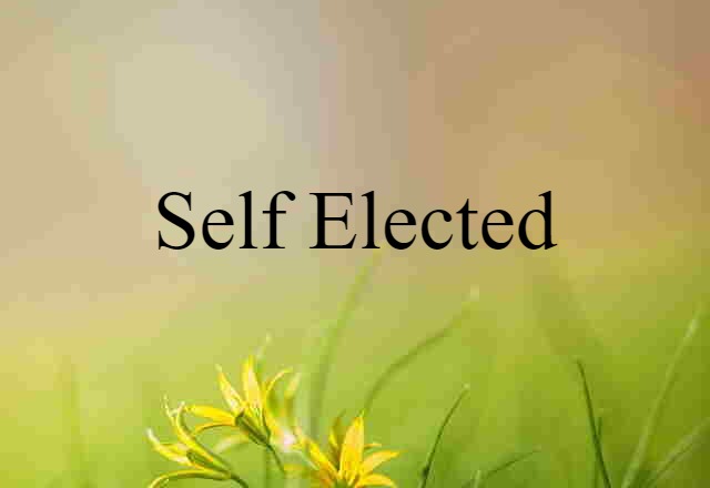 self-elected