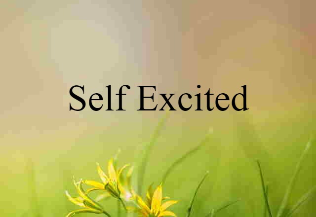 Self Excited (noun) Definition, Meaning & Examples