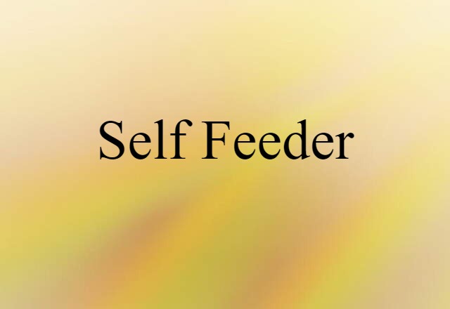 Self-feeder (noun) Definition, Meaning & Examples