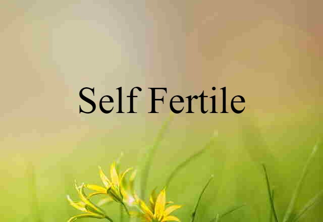 self-fertile