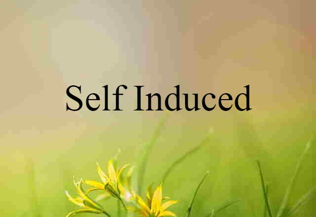 Self Induced (noun) Definition, Meaning & Examples