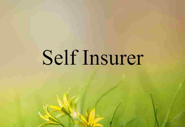 self-insurer