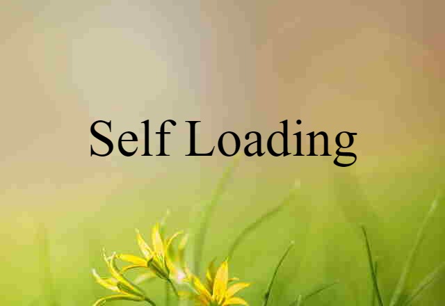 Self-loading (noun) Definition, Meaning & Examples