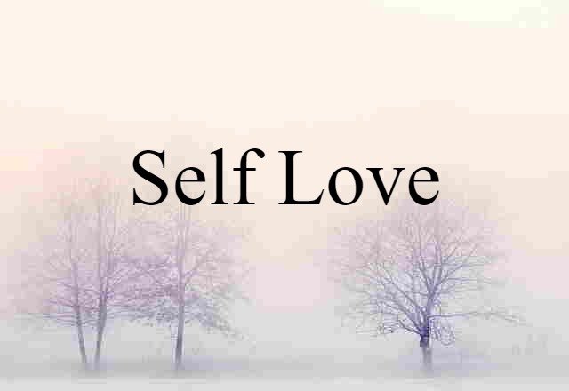 Self Love (noun) Definition, Meaning & Examples