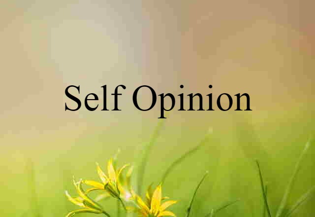 self opinion