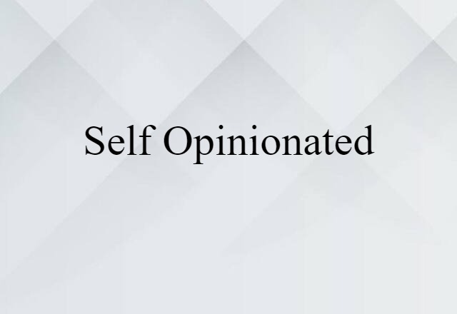 self-opinionated