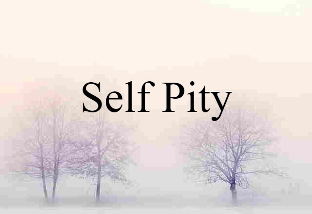 Self-pity (noun) Definition, Meaning & Examples