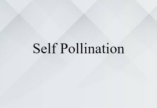 self pollination