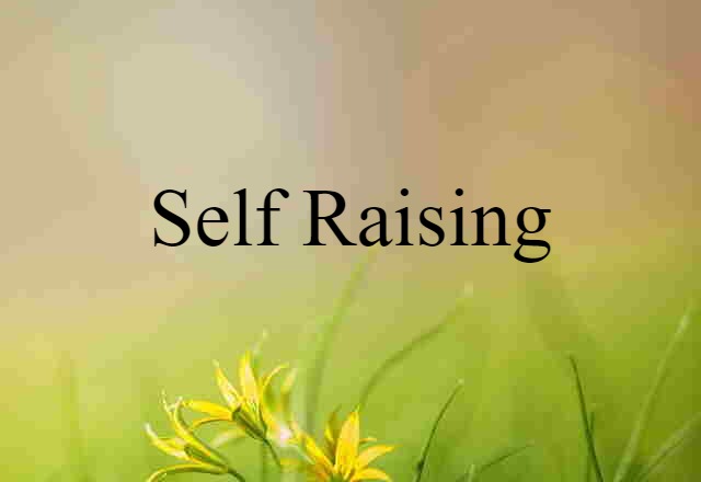 Self-raising (noun) Definition, Meaning & Examples