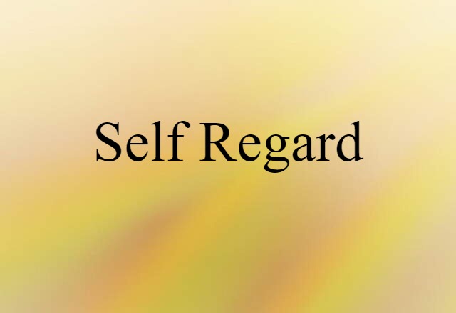 Self-regard (noun) Definition, Meaning & Examples