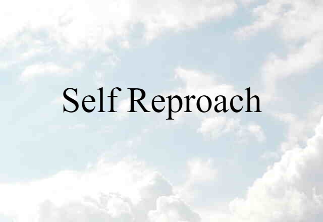 self reproach