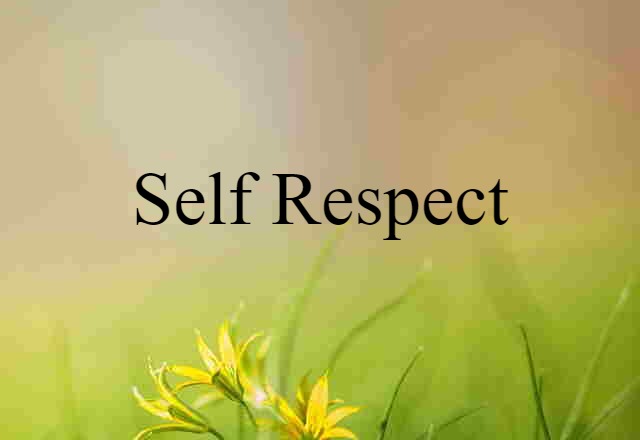 Self-respect (noun) Definition, Meaning & Examples