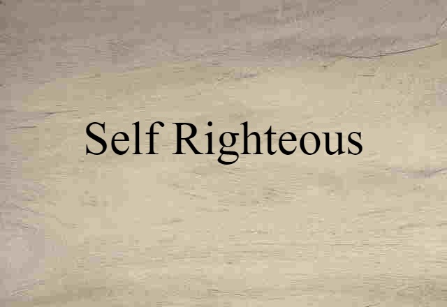 Self Righteous (noun) Definition, Meaning & Examples