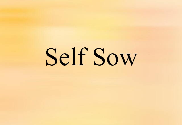 Self-sow (noun) Definition, Meaning & Examples