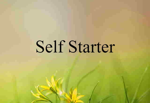 self starter