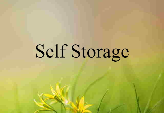 self-storage