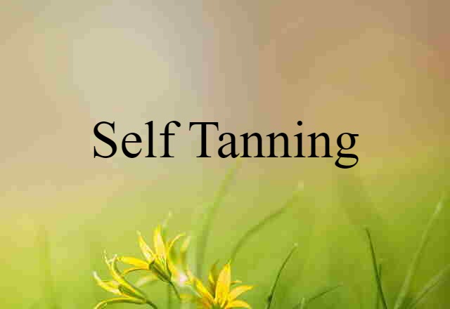 Self-tanning (noun) Definition, Meaning & Examples