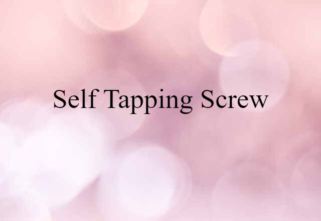 Self-tapping Screw (noun) Definition, Meaning & Examples