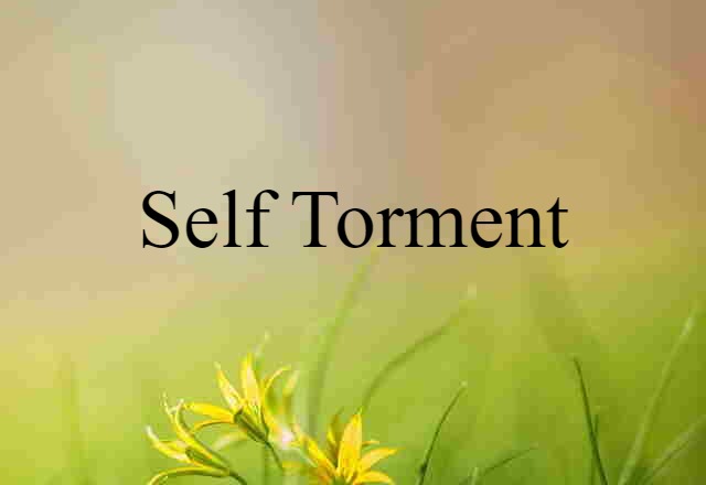 Self-torment (noun) Definition, Meaning & Examples